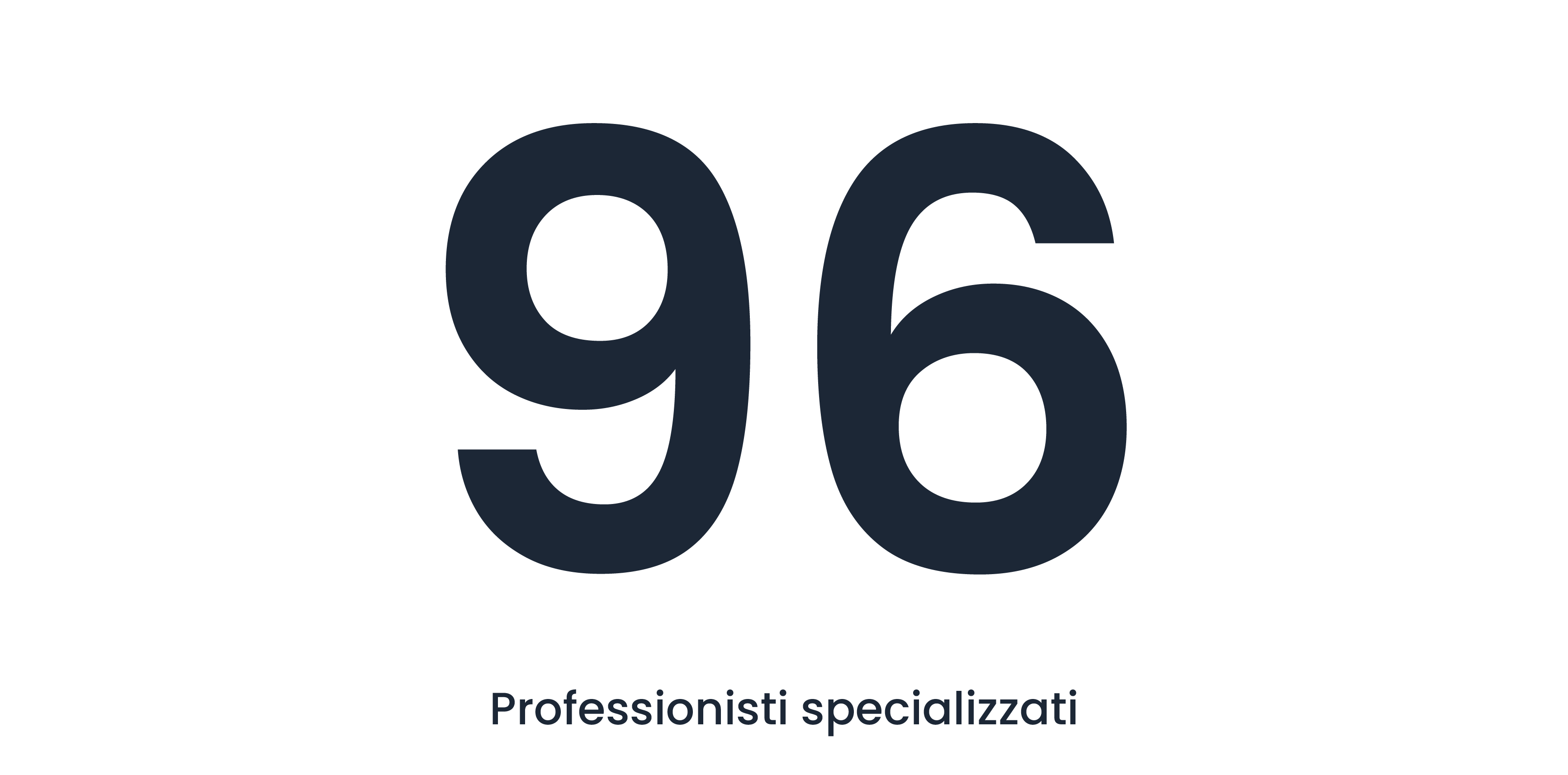 96 Professionisti specializzati